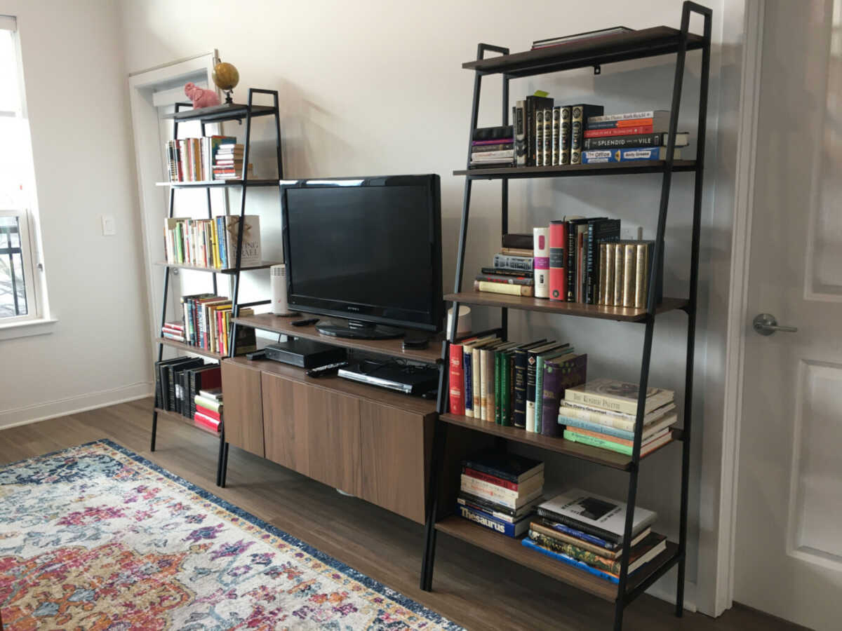 TV and book cases